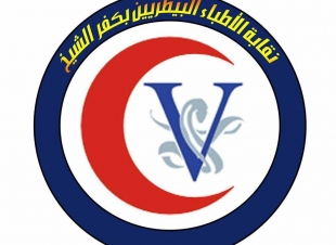 د. أميرة عبدالوهاب مرشح نقابة البيطريين..  هدفى نقابة قوية وتحقيق طموح الشباب